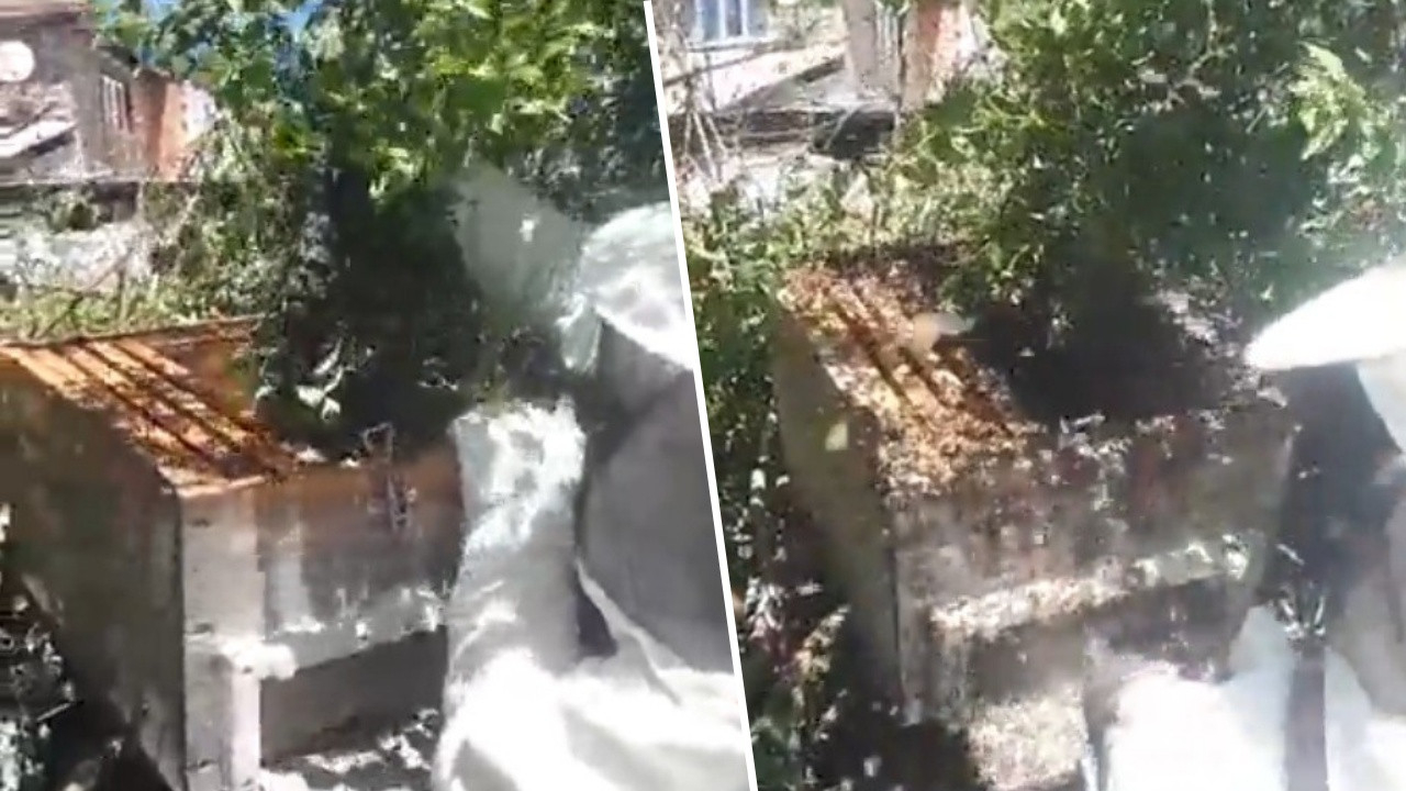 Evinin penceresinden bakan adam şoke oldu! Uzmanlardan yardım istedi...