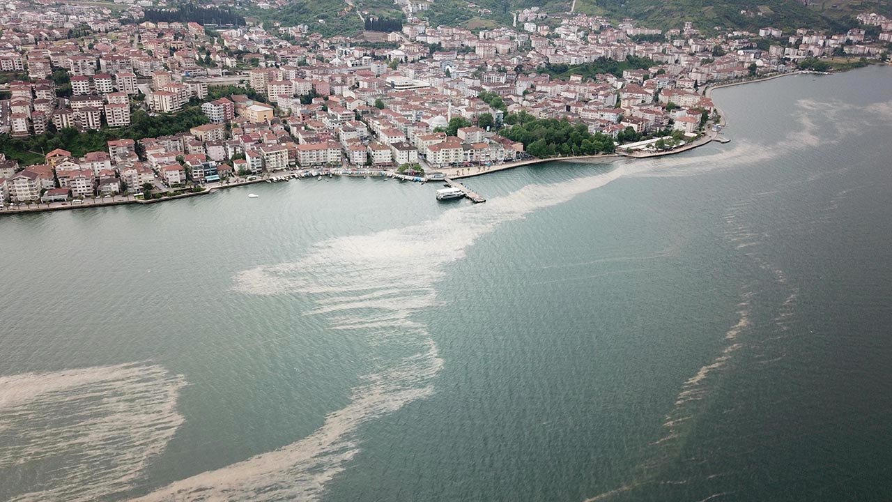 Temizlenen deniz salyası İzmit Körfezi’ne geri döndü