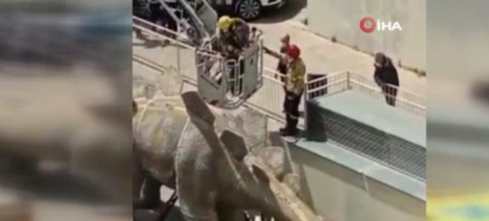 Dinozor heykelinin içinde inanılmaz ölüm