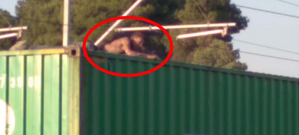 Selfie çekerken feci şekilde ölüyordu
