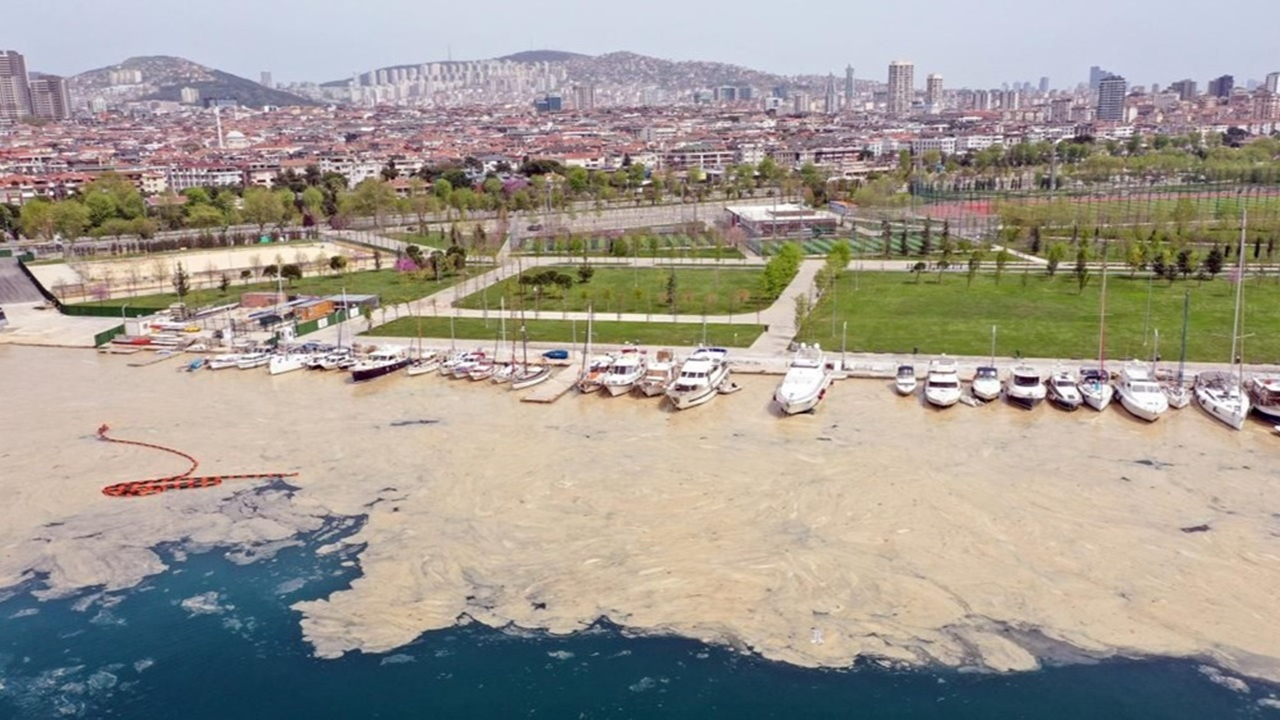 Marmara'yı saran deniz salyası ABD basınında