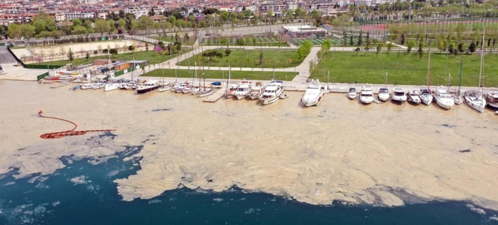 Marmara'yı saran deniz salyası ABD basınında