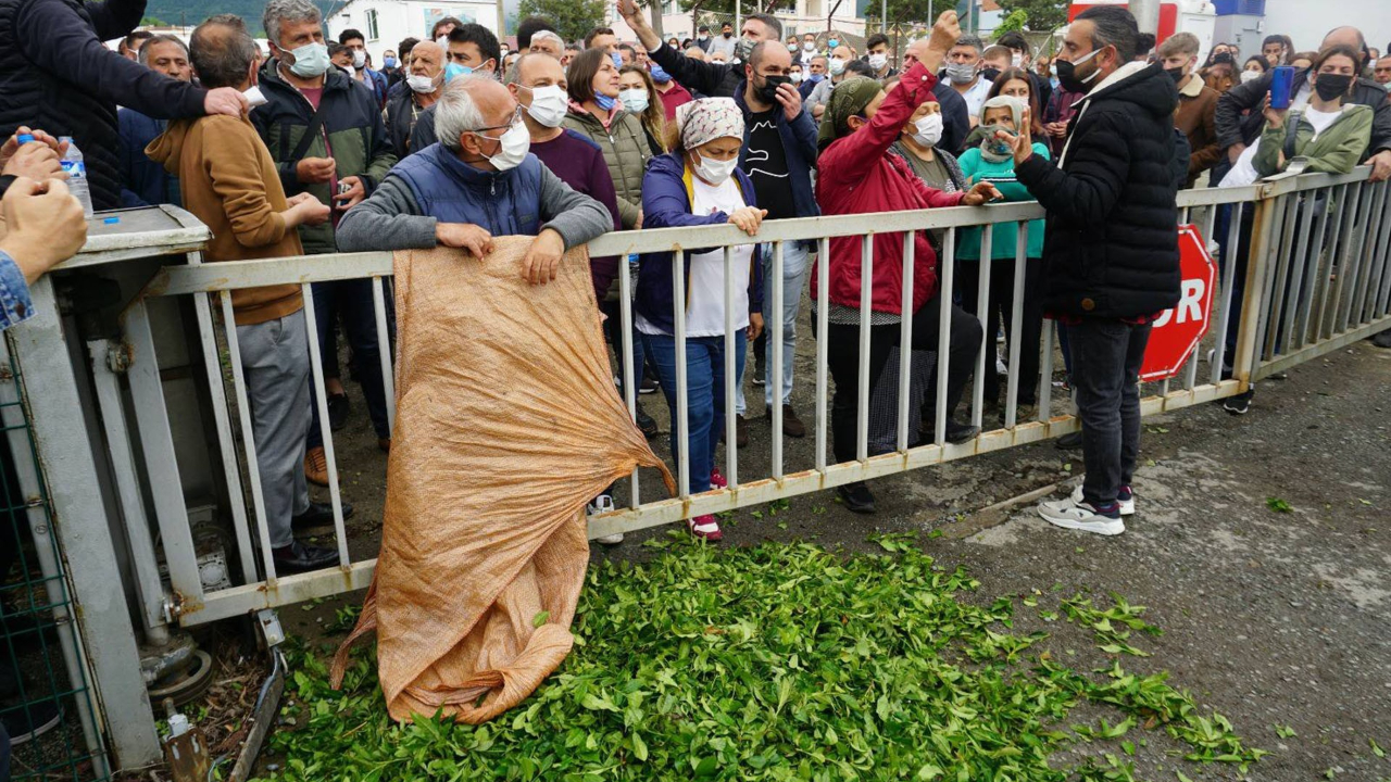 İkizdere provokatörleri bu kez Hopa'da devrede
