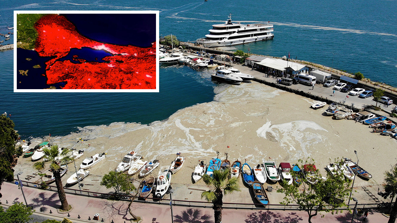 Deniz salyası felaketi! Bilim insanları araştırma gemisi ile Marmara Denizi'ne açıldı