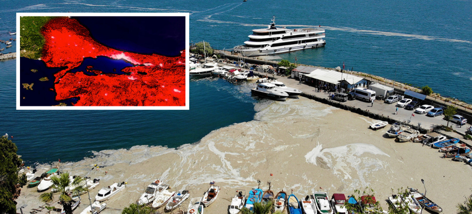 Deniz salyası felaketi! Bilim insanları araştırma gemisi ile Marmara Denizi'ne açıldı