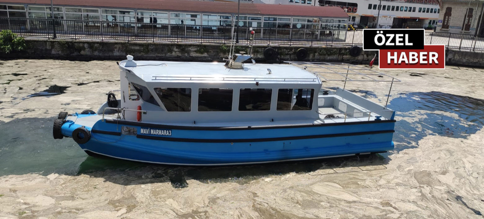 Deniz salyası Marmara Denizi'ni esir aldı!