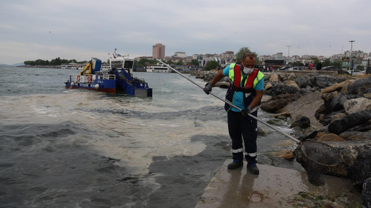 Kartal'da deniz salyaları ile savaş