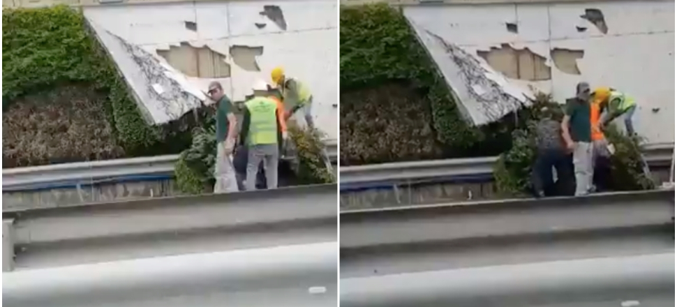 Toplu taşımaya çözüm beklenirken, İBB'nin derdi dikey bahçe