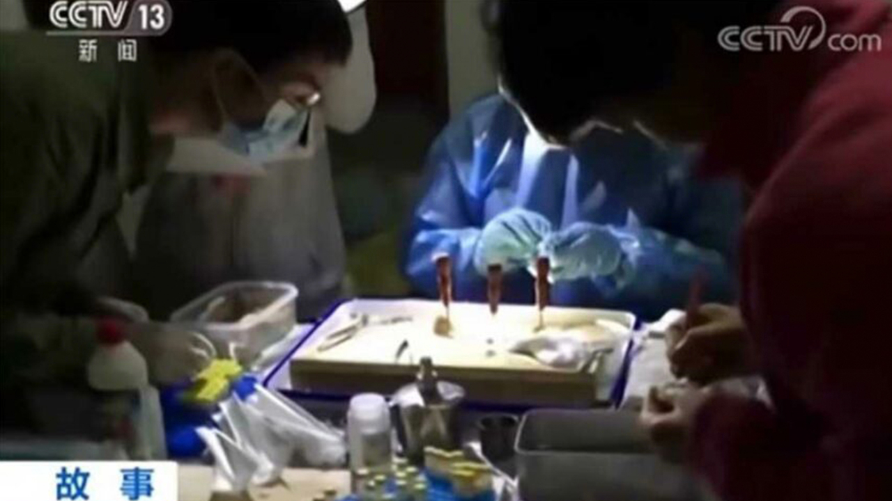 Wuhan'dan çok çarpıcı iddialar geldi