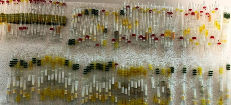 Sarp Sınır Kapısı'nda 230 tüp arı ve kobra yılanı zehri yakalandı