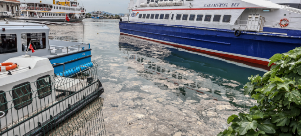 Deniz salyasına karşı Çevre Bakanlığından eylem planı