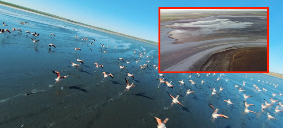 Flamingo cennetinden üzen görüntü! Düden Gölü ile komşusu Küçük Göl kurudu