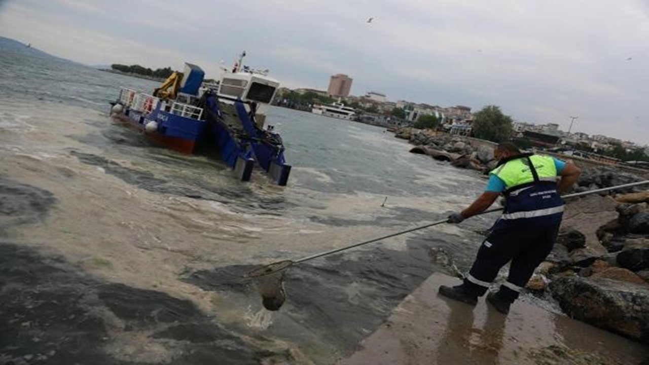Müsilaj nasıl temizlenir? Marmara'da görülen deniz salyası nasıl temizleniyor?