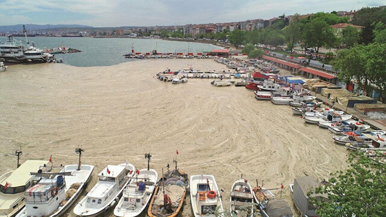ODTÜ, deniz salyası için harekete geçti!