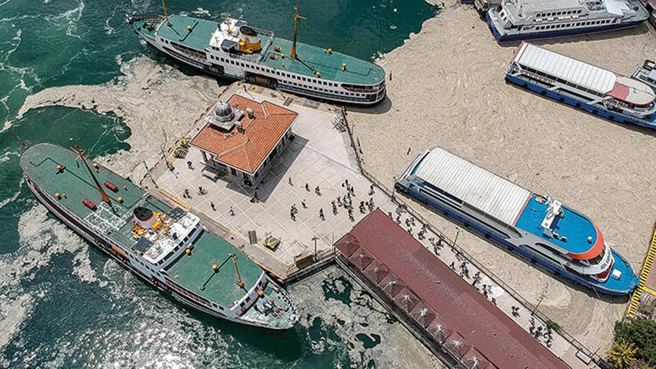 Müsilaj, Karadeniz'i de tehdit ediyor!