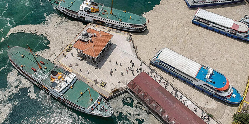 Müsilaj, Karadeniz'i de tehdit ediyor!