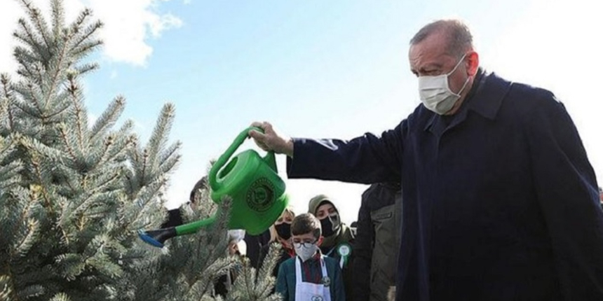 Dünya Çevre Günü'nde Erdoğan'dan anlamlı paylaşım
