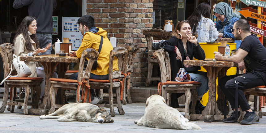 İstanbul'da salgının başlangıcından beri en güzel haber! Teşekkür mesajıyla duyuruldu...