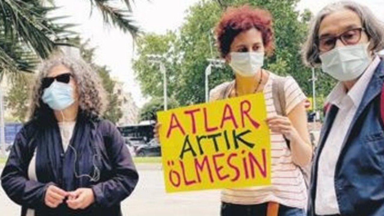 Süre doluyor! Atlar için 'Sağ salim getirilsinler' talebi