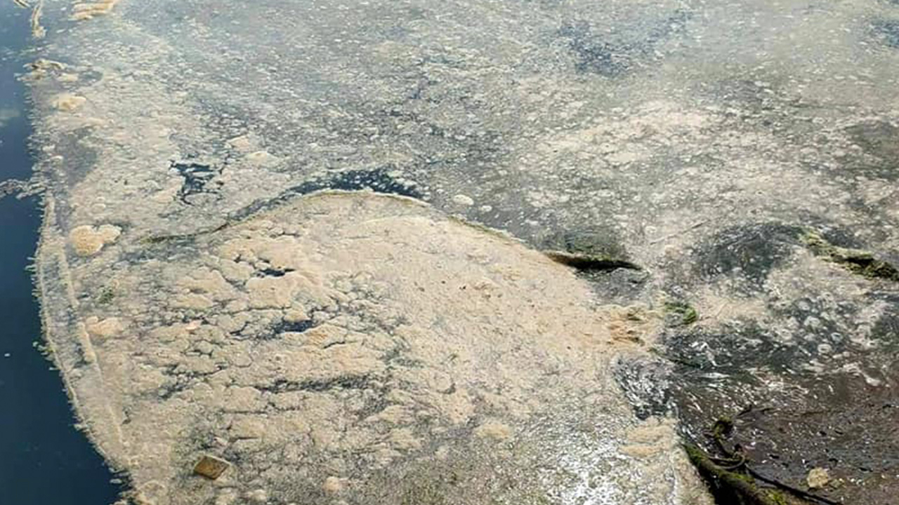 Marmara'yı esir alan müsilaj şimdi de Karadeniz'de çıktı