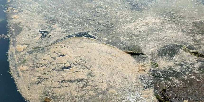Marmara'yı esir alan müsilaj şimdi de Karadeniz'de çıktı