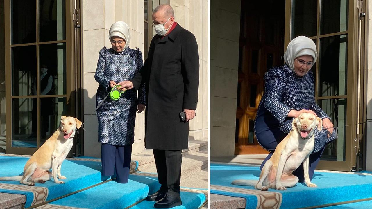 Erdoğan talimatı verdi: Meclis kapanmadan yasayı çıkarın
