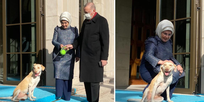 Erdoğan talimatı verdi: Meclis kapanmadan yasayı çıkarın