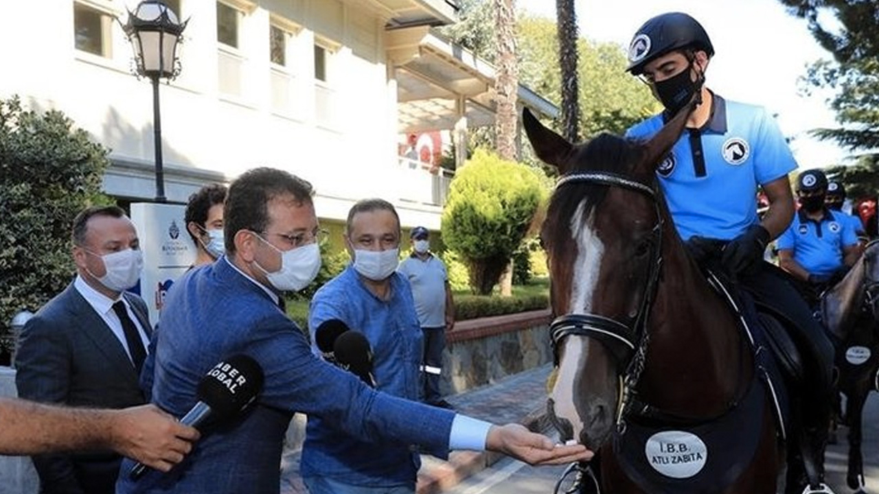 Adalar'daki at krizinde yeni perde