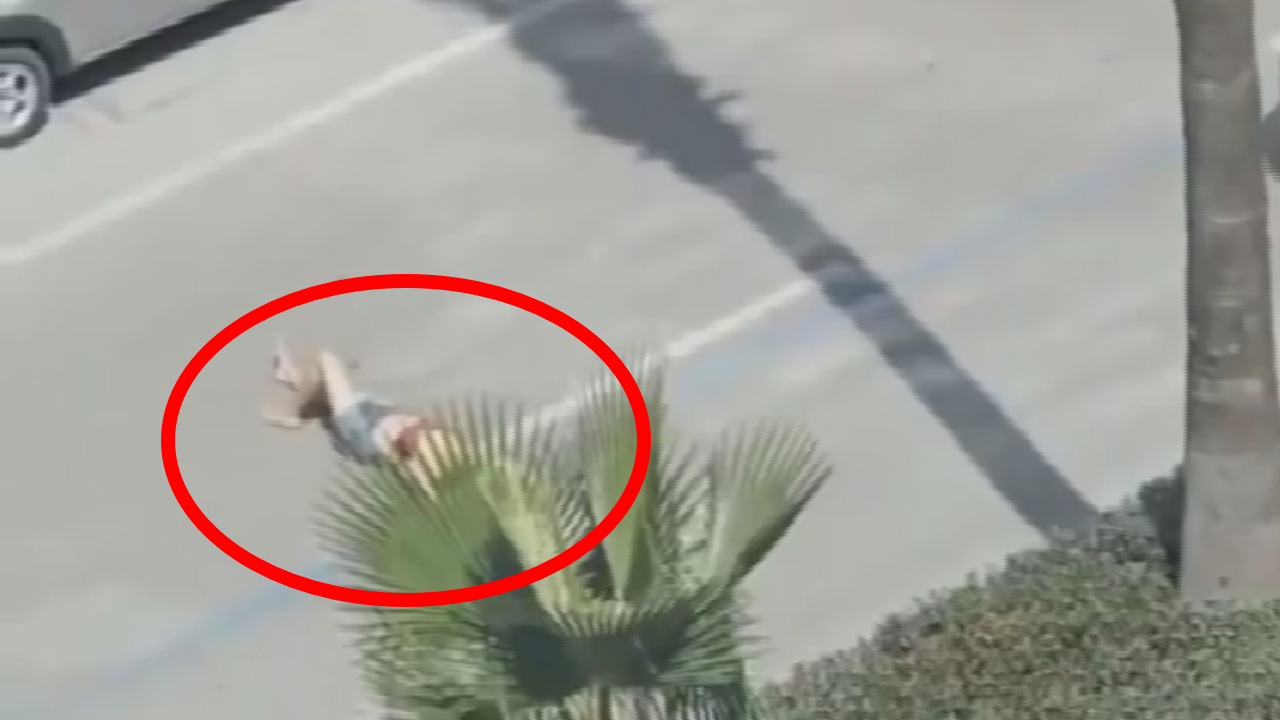 Sanki plajda! Caddenin ortasında yola yattı