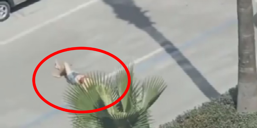 Sanki plajda! Caddenin ortasında yola yattı
