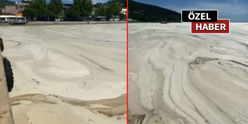 Görüntüler Balıkesir Erdek'ten! Müsilaj kıyıları görünmez hale getirdi!
