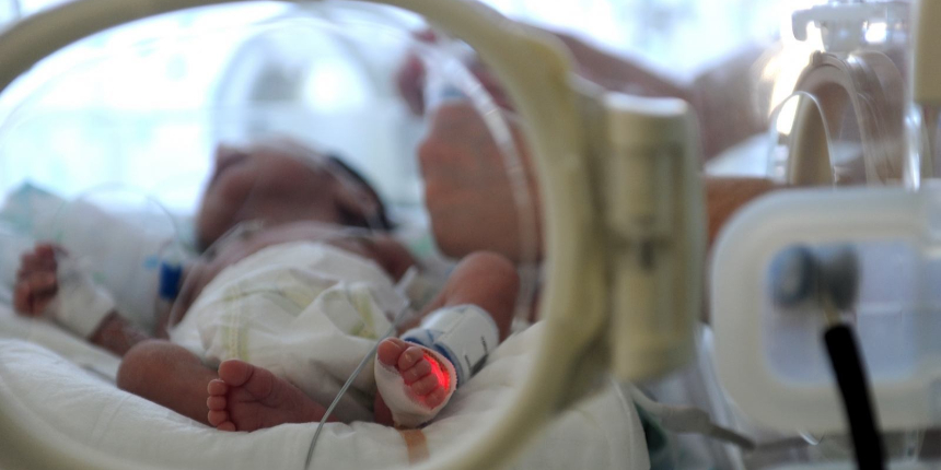 Tek doğumda 10 bebek! Sağlık durumları açıklandı