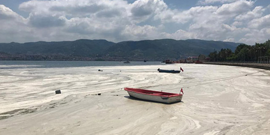 Bakan Kurum müsilaj temizliğindeki son durumu açıkladı