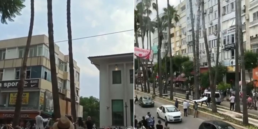 Palmiye ağacında mahsur kalan kediyi kurtarmak için branda açtılar