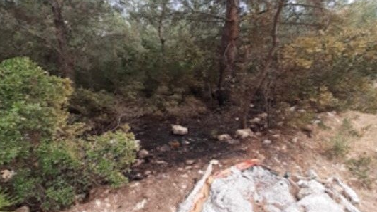 İzmir'deki ormanları yakacaktı! O terörist tutuklandı