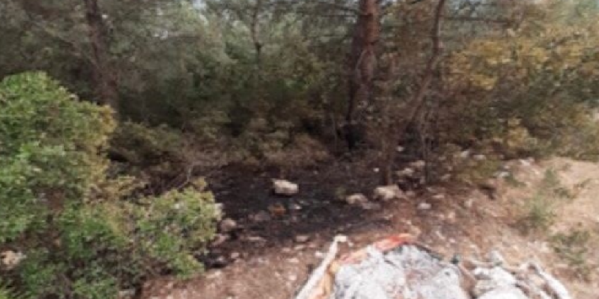 İzmir'deki ormanları yakacaktı! O terörist tutuklandı