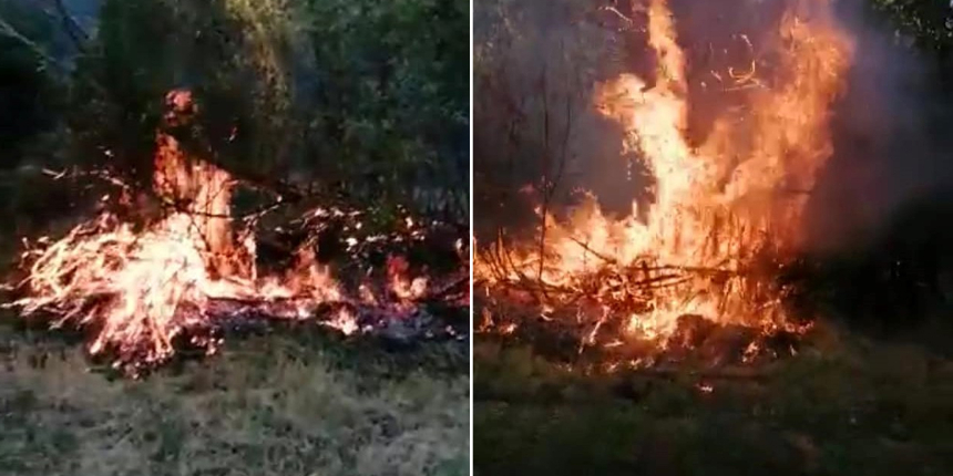 Köyde yangın: 4 bahçe zarar gördü