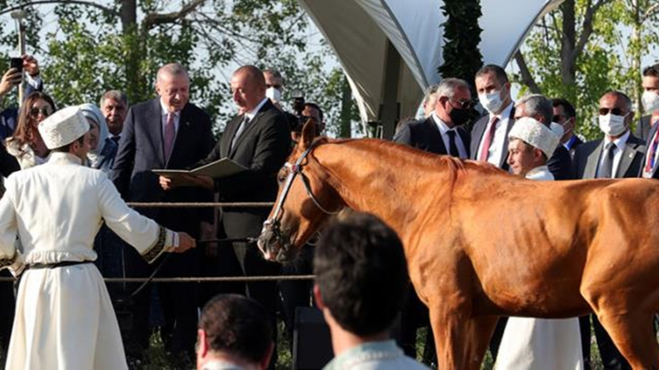 Cumhurbaşkanı Erdoğan'a Azerbaycan'da sürpriz! Aliyev at hediye etti...