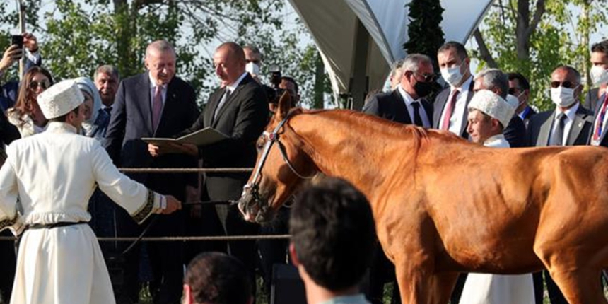 Cumhurbaşkanı Erdoğan'a Azerbaycan'da sürpriz! Aliyev at hediye etti...