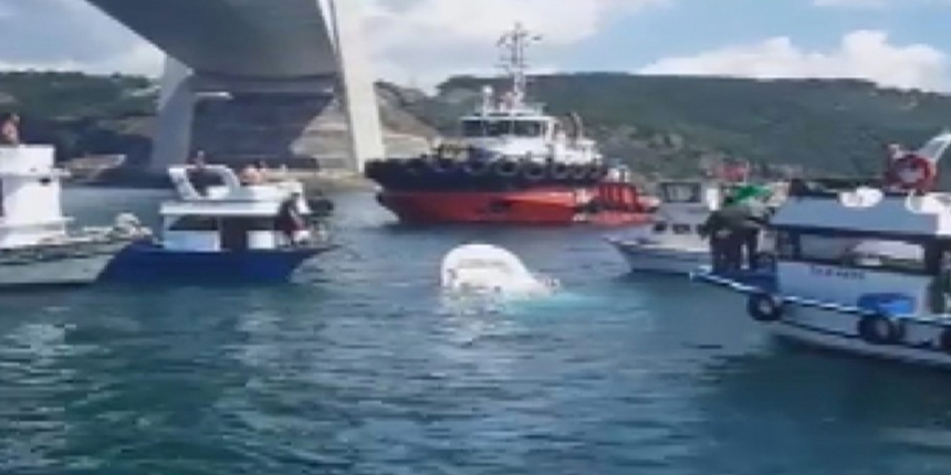 İstanbul Boğazı'nda korku dolu anlar: Gemi ile balıkçı teknesi çarpıştı