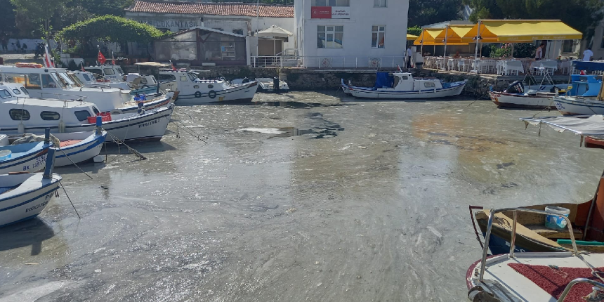 Tatilciler dikkat! Müsilaj Bozcaada'ya ulaştı