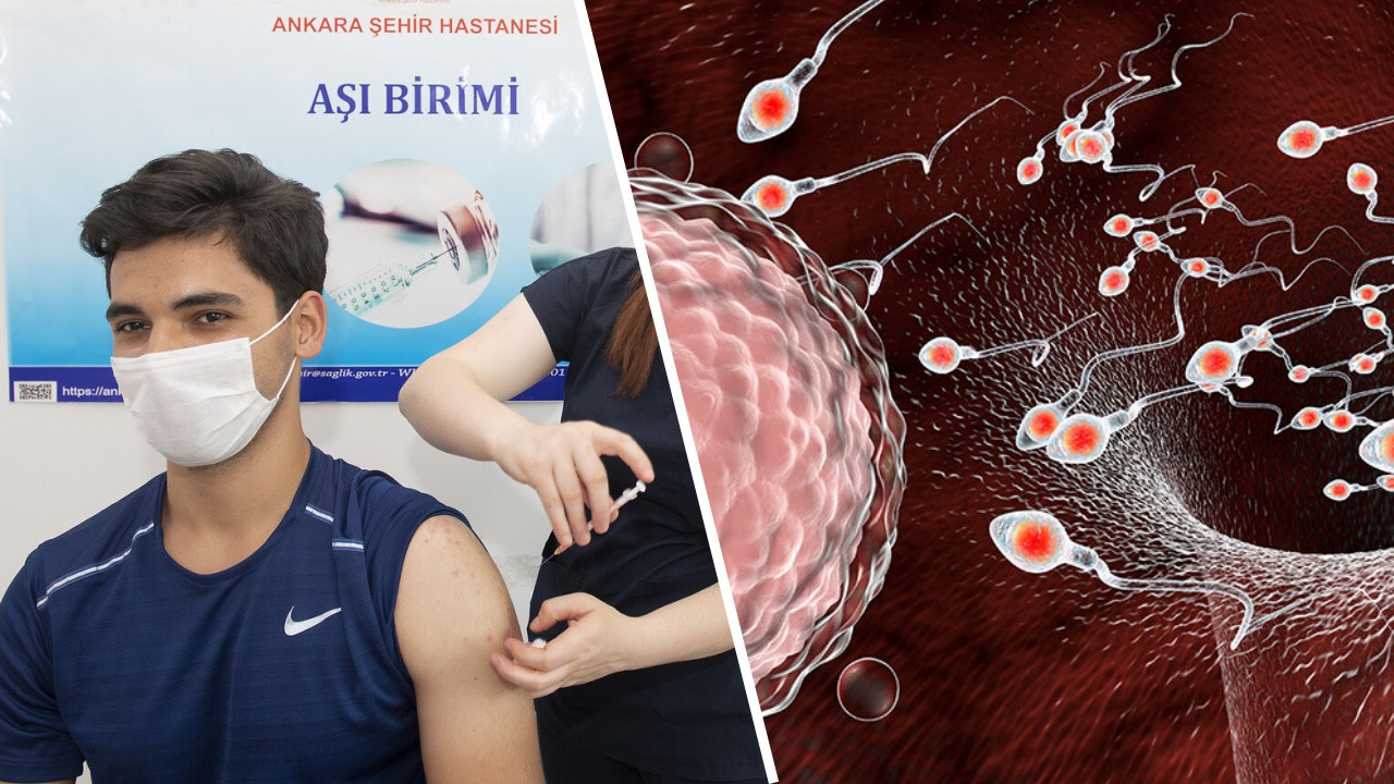 "Korona aşısı erkeklerde sperm sayısını azaltıyor" iddiası çürütüldü!