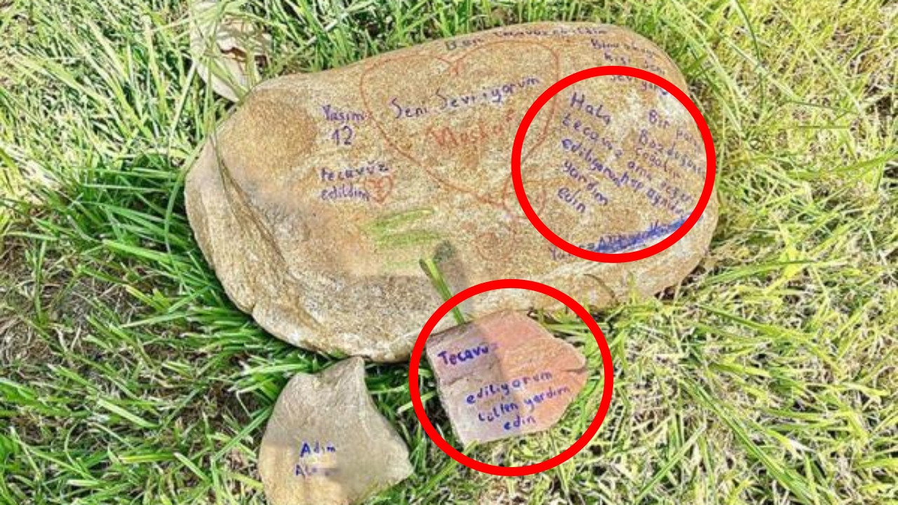 Taşa 'Tecavüz ediliyorum' yazmıştı! Tüyler ürperten detaylar ortaya çıktı
