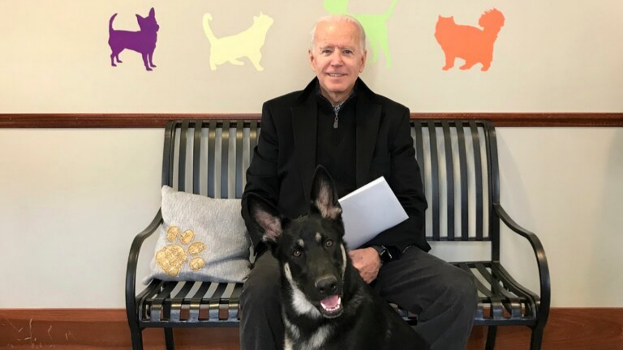 ABD'nin 'First Köpeği' yaşama veda etti