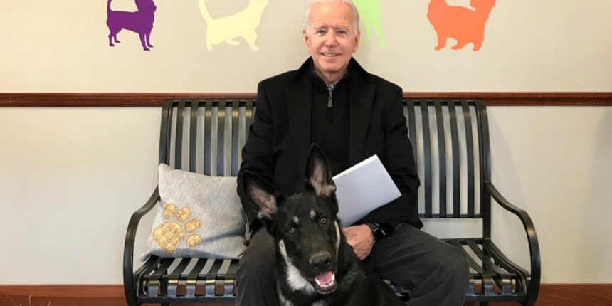ABD'nin 'First Köpeği' yaşama veda etti