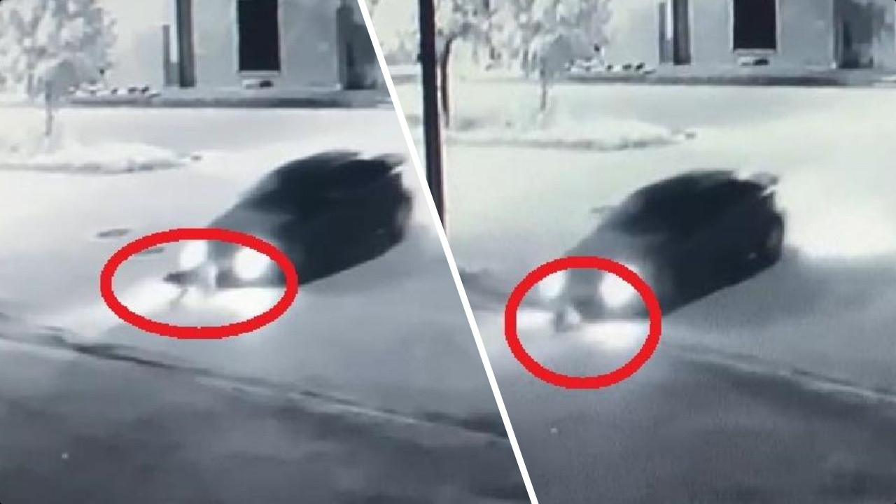 Cani sürücü otomobiliyle yolun ortasında duran köpeği ezdi, metrelerce sürükledi!