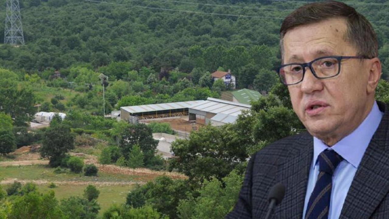 Orman arazisine kaçak çiftlik yapan İYİ Parti Milletvekili Lütfü Türkkan'a tahliye kararı: 'Kaçakçı Lütfü' trend oldu