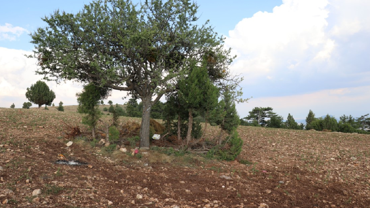 Tarlada aileyi yıldırım çarptı, hayatlarını küçük çocuk kurtardı