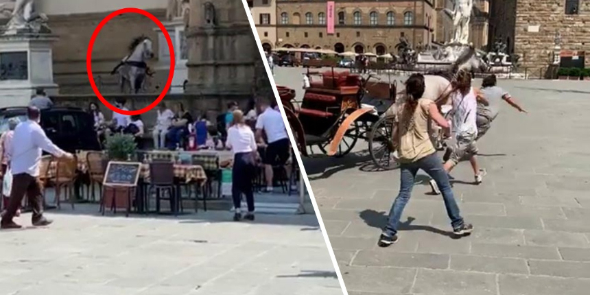 Turistik bölgede kontrolden çıkan at meydanı birbirine kattı! Bakanlığın aracına bile çarptı...