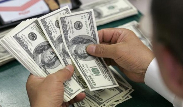 Hükümetten kritik dolar açıklaması!